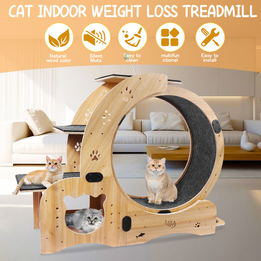 Cat Wheel 6-in-1 Cat Exercise Wheel Shop One Place