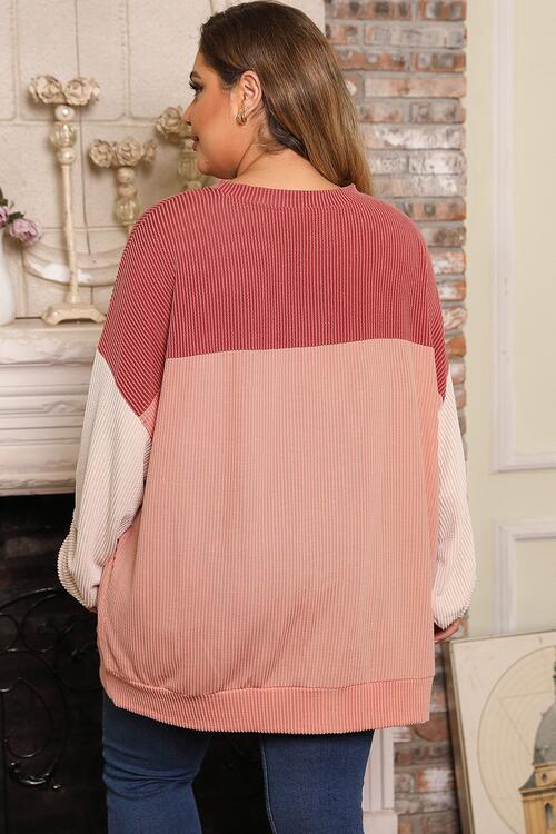 Plus Size Color Block Long Sleeve Top Shop One Place
