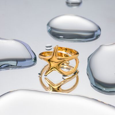 Gold-Plated Stainless Steel Star Ring Shop One Place