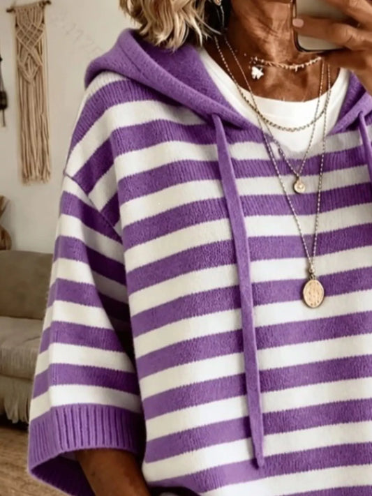 Striped Hooded Knit Sweater in Multicolor