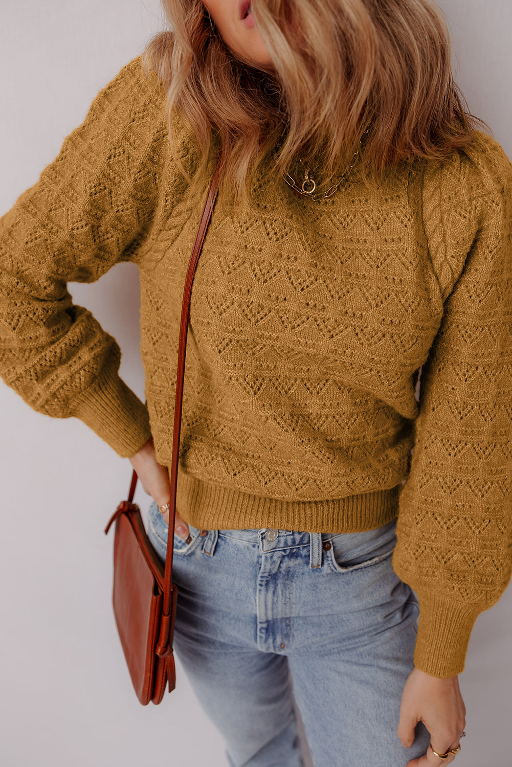 Jurassic Gold Hollow Out Crochet Ribbed Edge Balloon Sleeve Sweater  Shop One Place