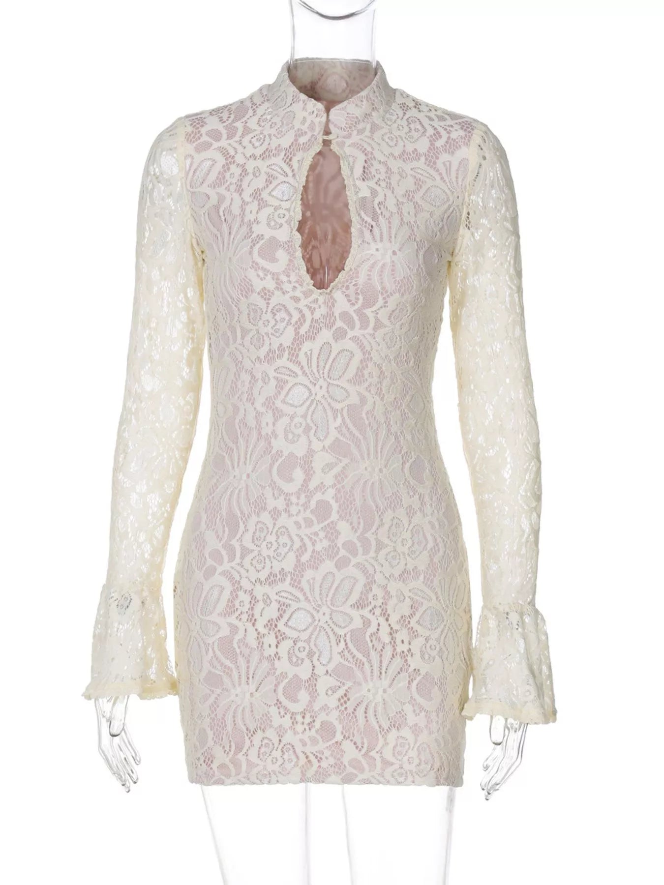Lace Cutout Long Sleeve Mini Dress  Shop One Place
