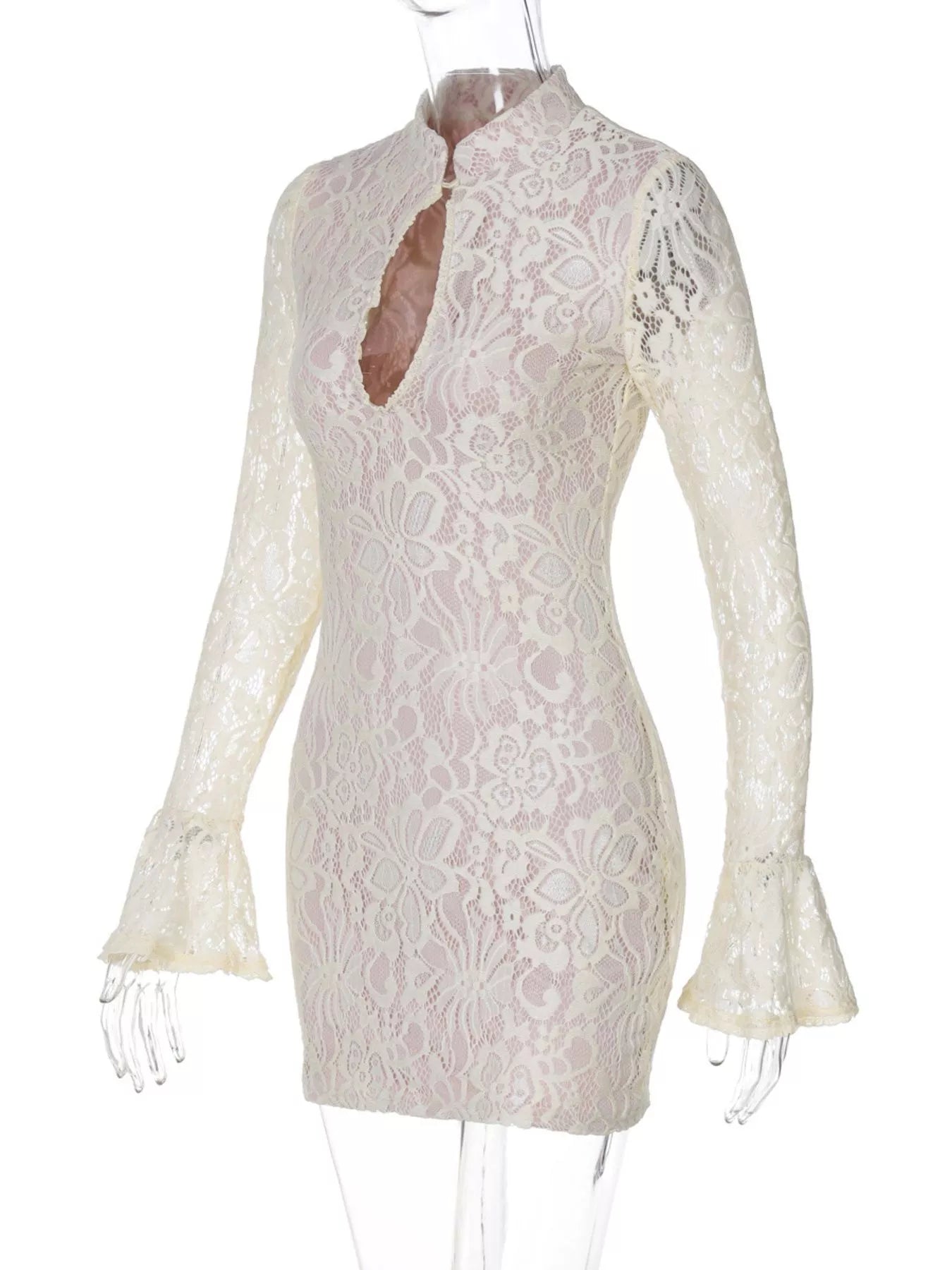 Lace Cutout Long Sleeve Mini Dress  Shop One Place