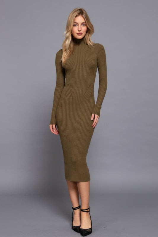 Cozy Long Sleeve High Neck Sweater Long Dress