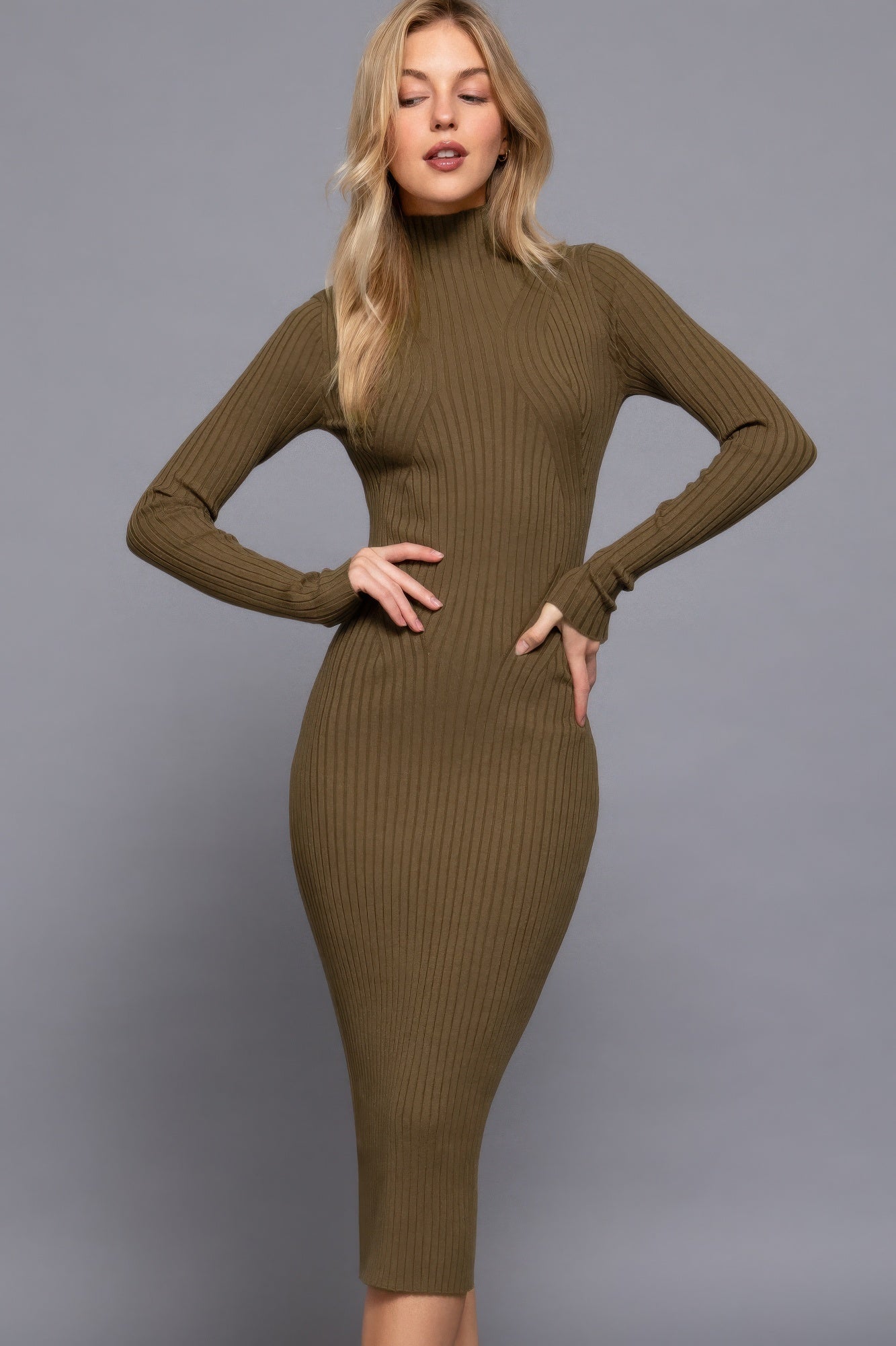 Cozy Long Sleeve High Neck Sweater Long Dress