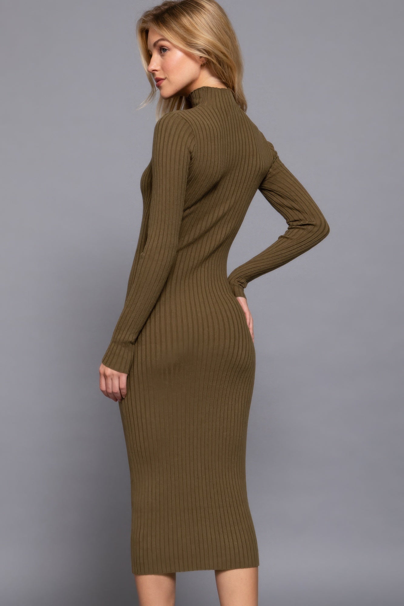 Cozy Long Sleeve High Neck Sweater Long Dress