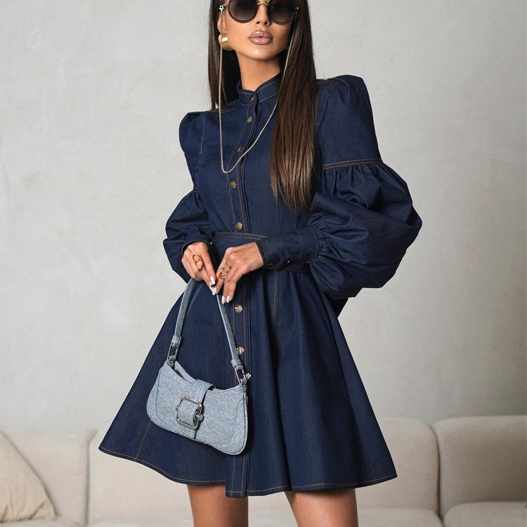 Denim Lantern Sleeve Shirt Dress