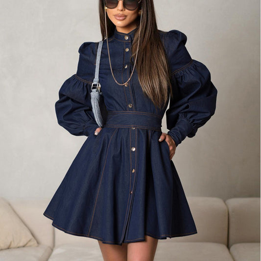 Denim Lantern Sleeve Shirt Dress