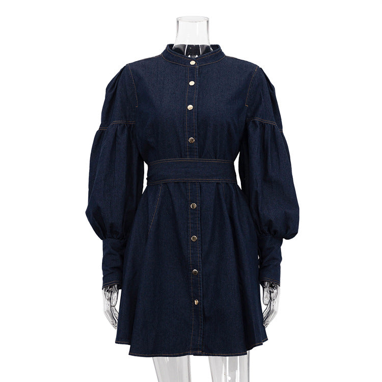 Denim Lantern Sleeve Shirt Dress