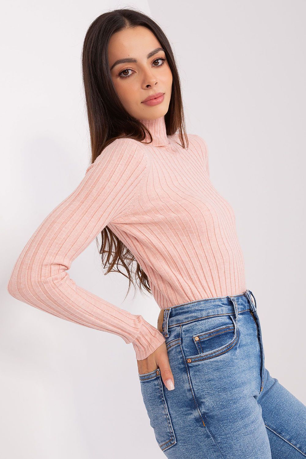 Classic Cut Ribbed Fabric Turtleneck Sweater