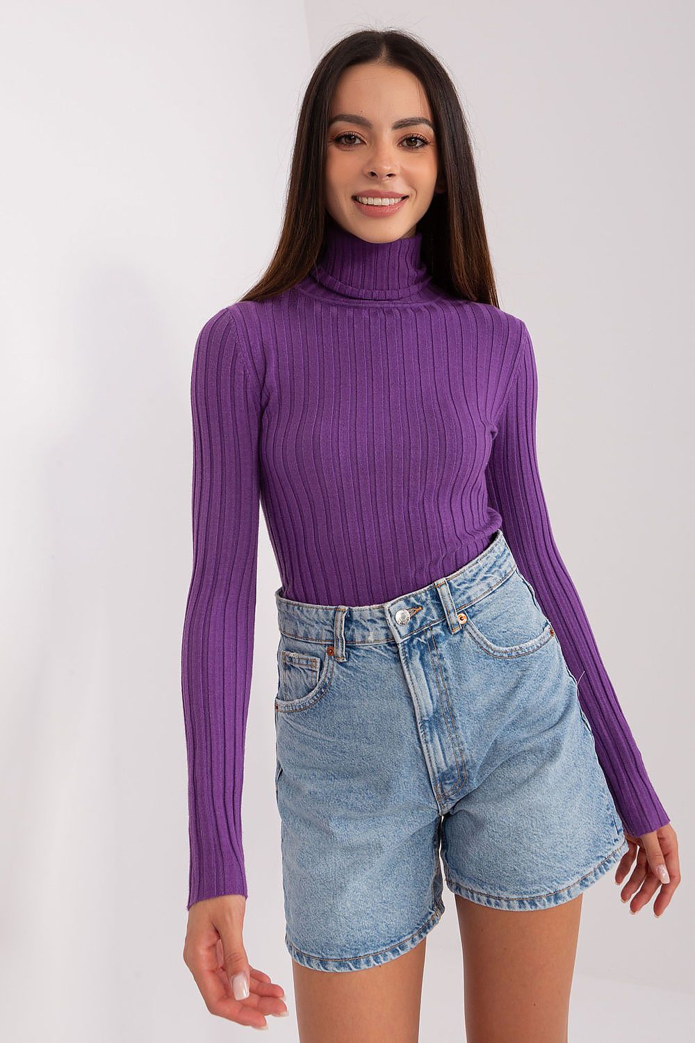 Classic Cut Ribbed Fabric Turtleneck Sweater