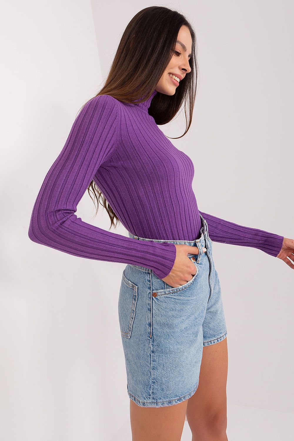 Classic Cut Ribbed Fabric Turtleneck Sweater