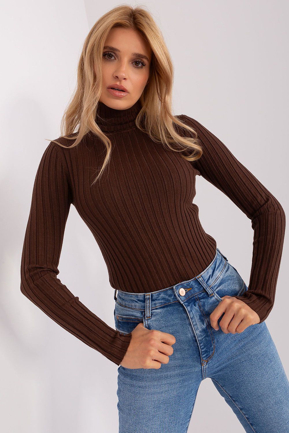 Classic Cut Ribbed Fabric Turtleneck Sweater