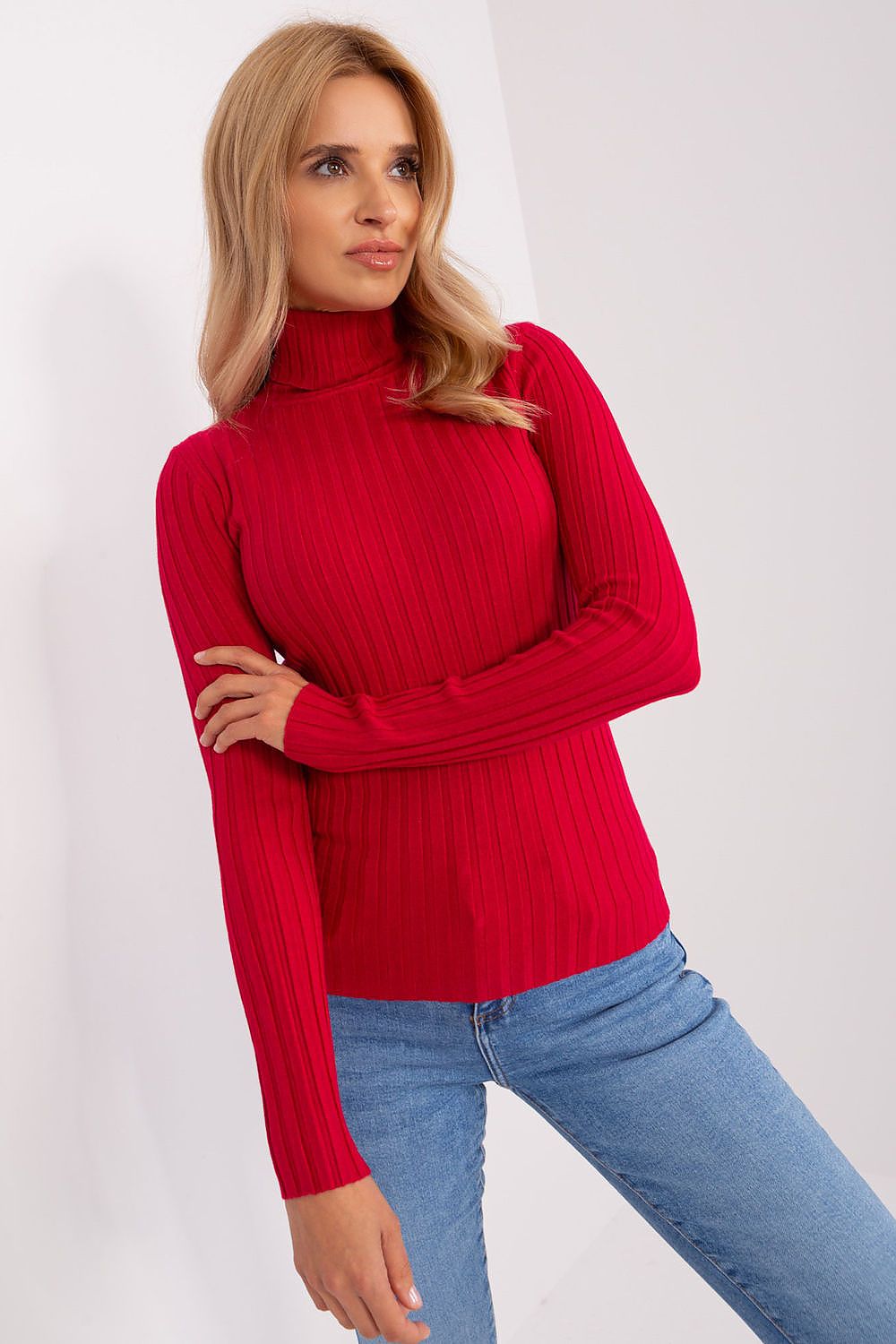 Classic Cut Ribbed Fabric Turtleneck Sweater