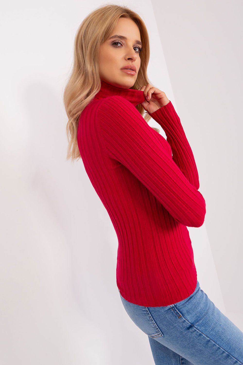 Classic Cut Ribbed Fabric Turtleneck Sweater