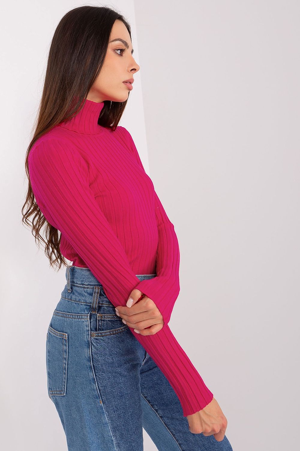 Classic Cut Ribbed Fabric Turtleneck Sweater