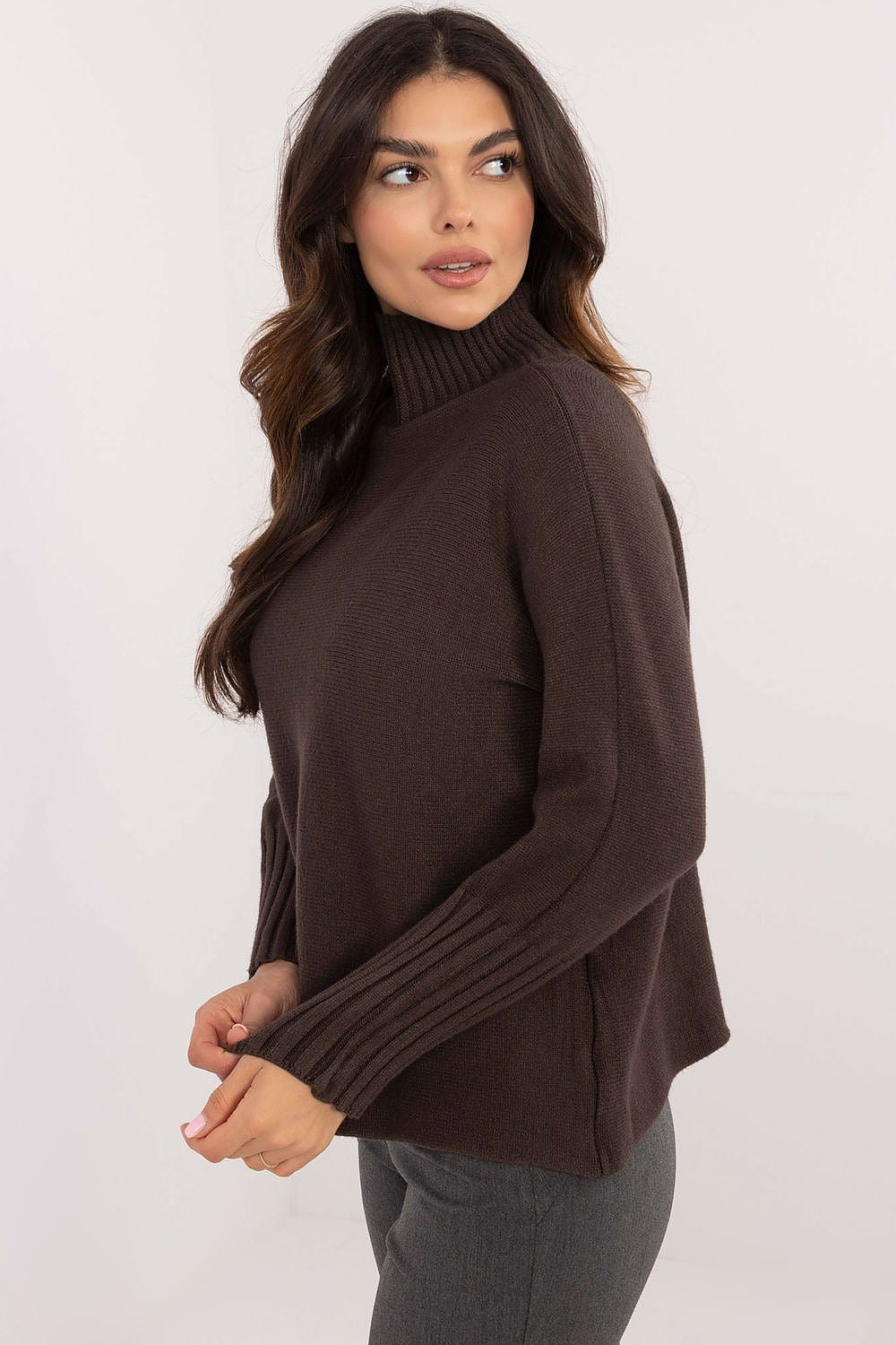 Casual Turtleneck Sweater