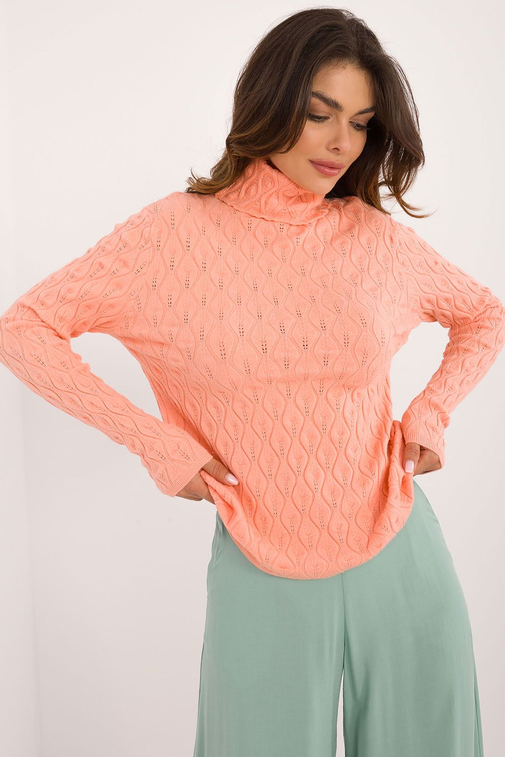 Openwork Pattern Turtleneck Sweater