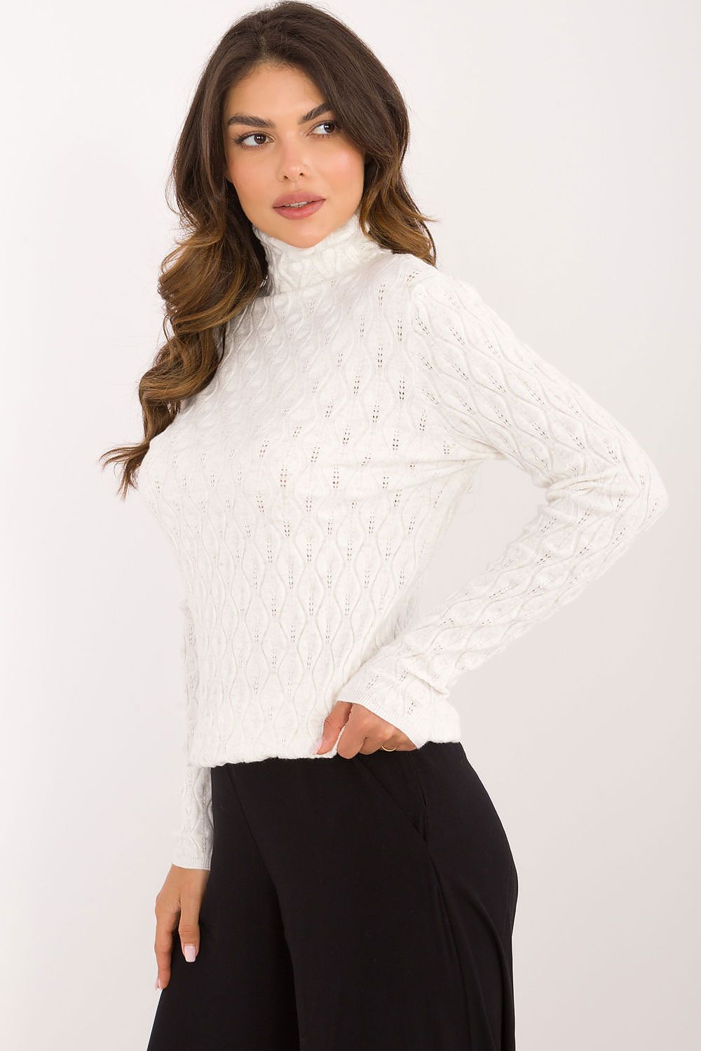 Openwork Pattern Turtleneck Sweater