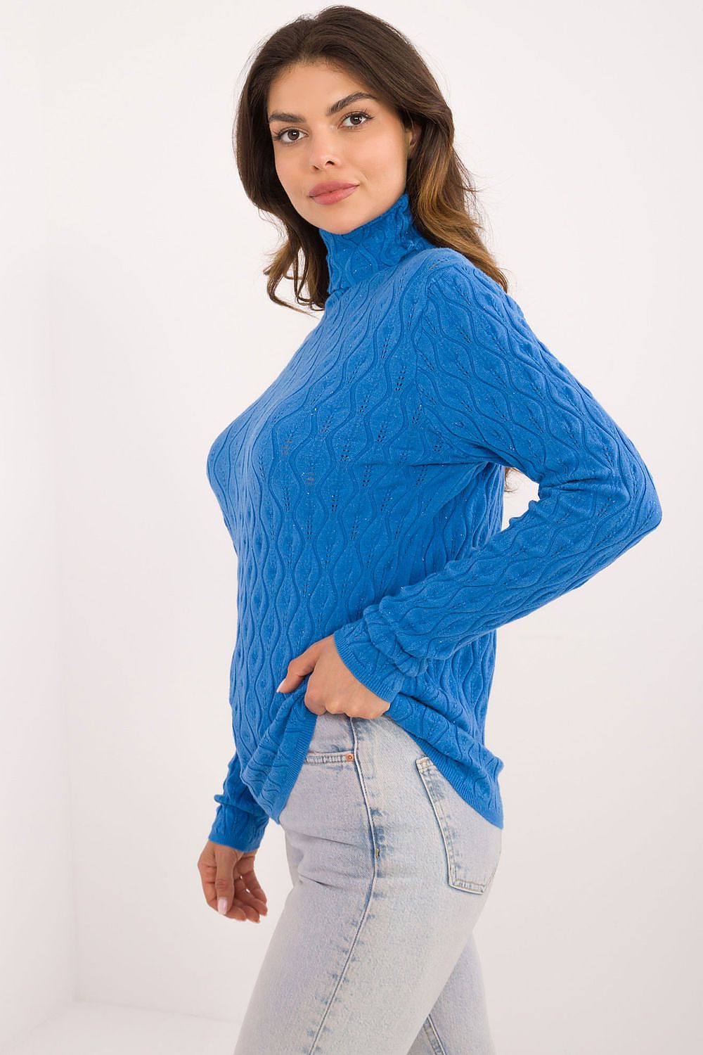 Openwork Pattern Turtleneck Sweater