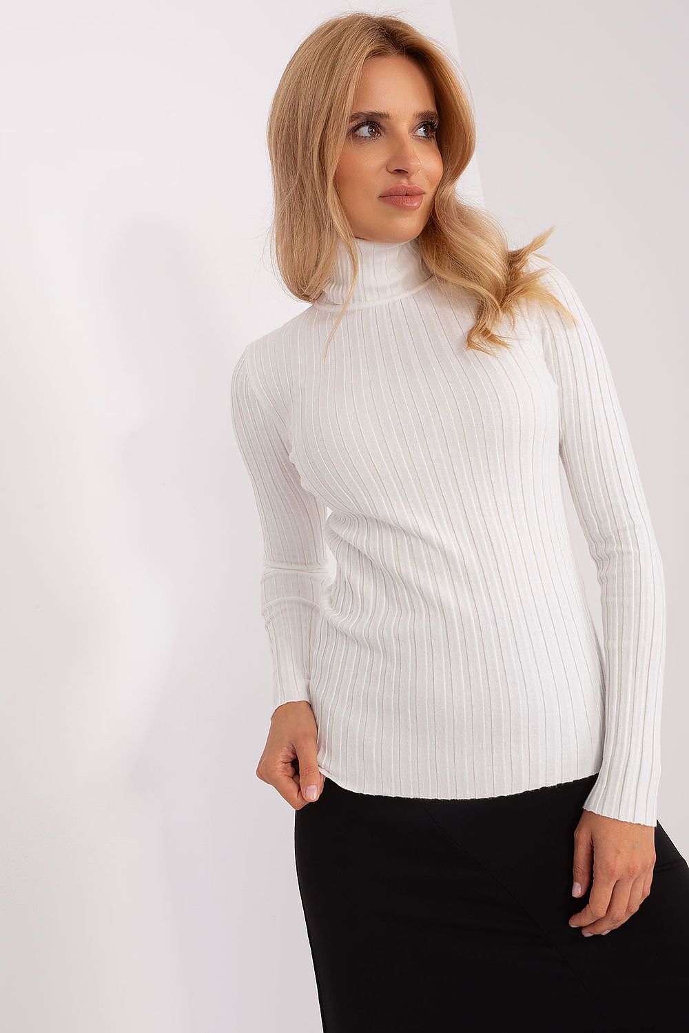 Classic Cut Ribbed Fabric Turtleneck Sweater