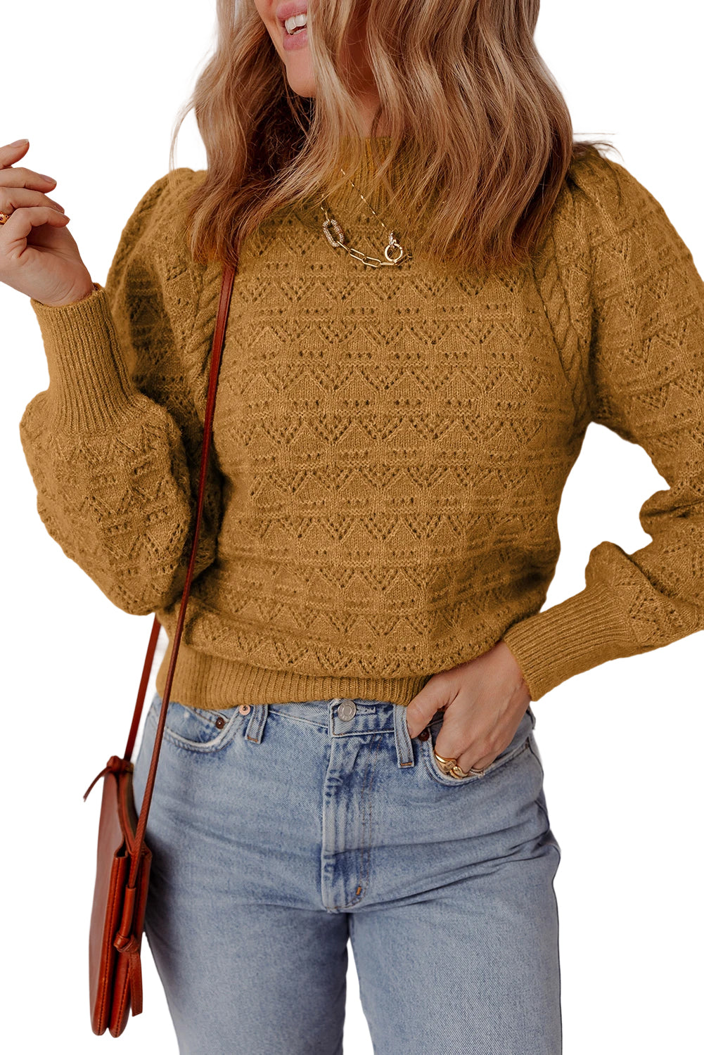 Jurassic Gold Hollow Out Crochet Ribbed Edge Balloon Sleeve Sweater  Shop One Place