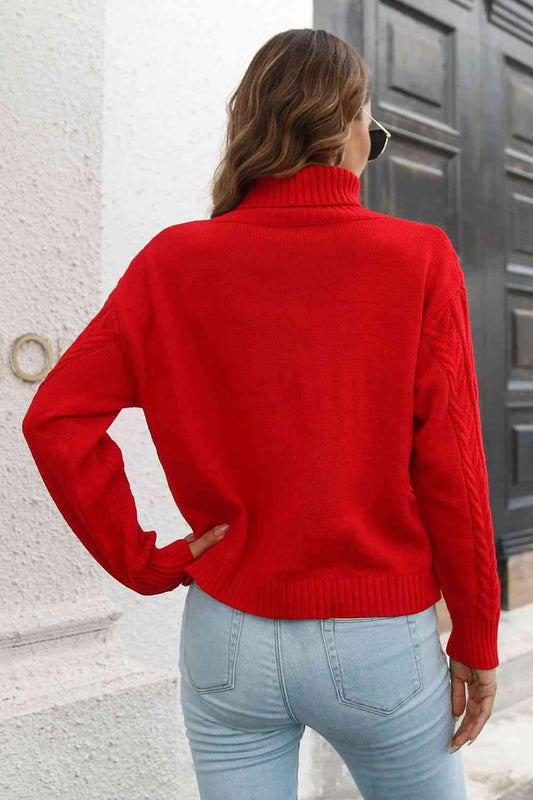 Turtleneck Long Sleeve Sweater  Shop One Place