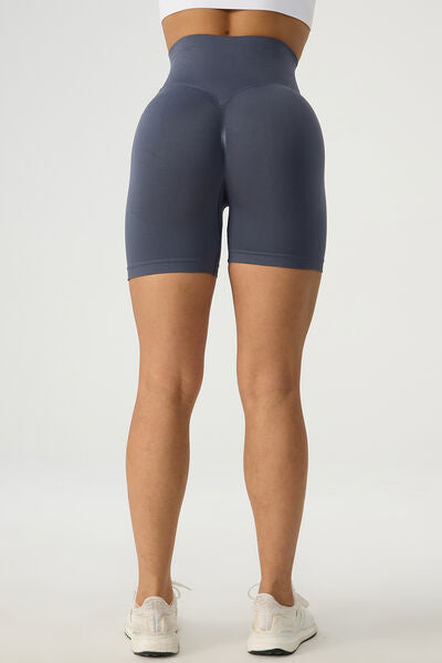 High Waist Wide Waistband Active Shorts