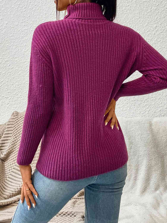 Ribbed Turtle Neck Long Sleeve Sweater  Shop One Place