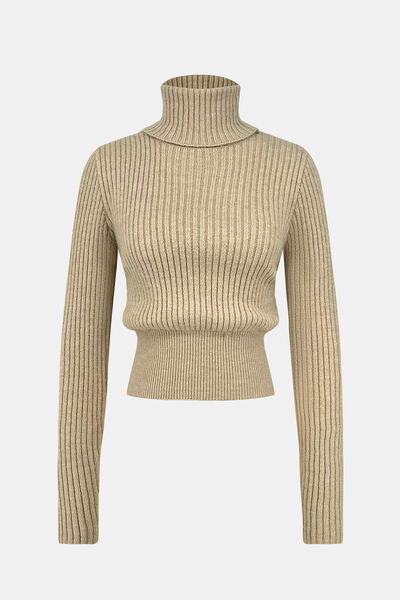 Ribbed Turtleneck Long Sleeve Sweater  Shop One Place