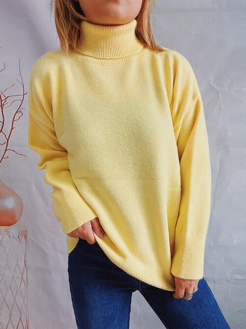 Turtleneck Long Sleeve Sweater  Shop One Place